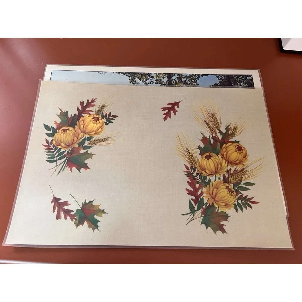 Vintage‎ Set Of 2 Fall Winter Reversible Laminated Placemat Nature 1970s Retro